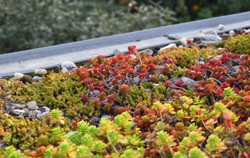 the cost of Middlebank green roof installation