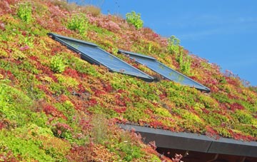 Middlebank living roof systems