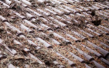 Middlebank roof cleaning companies