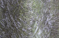 Middlebank fibreglass roof work